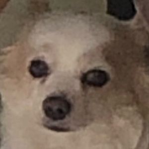 Meet your Posher, Kenny